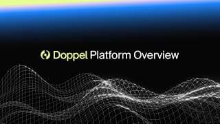 Doppel Platform Overview