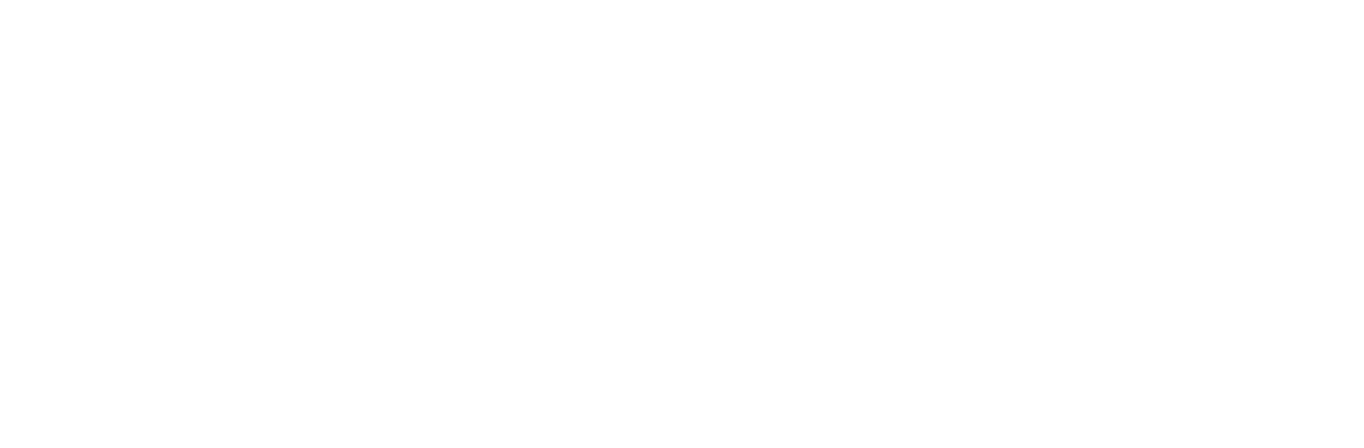 Torq Logo
